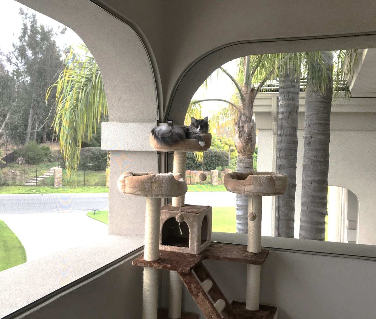 Full_Balcony_Screen_Enclosure-263-1920-1080-100