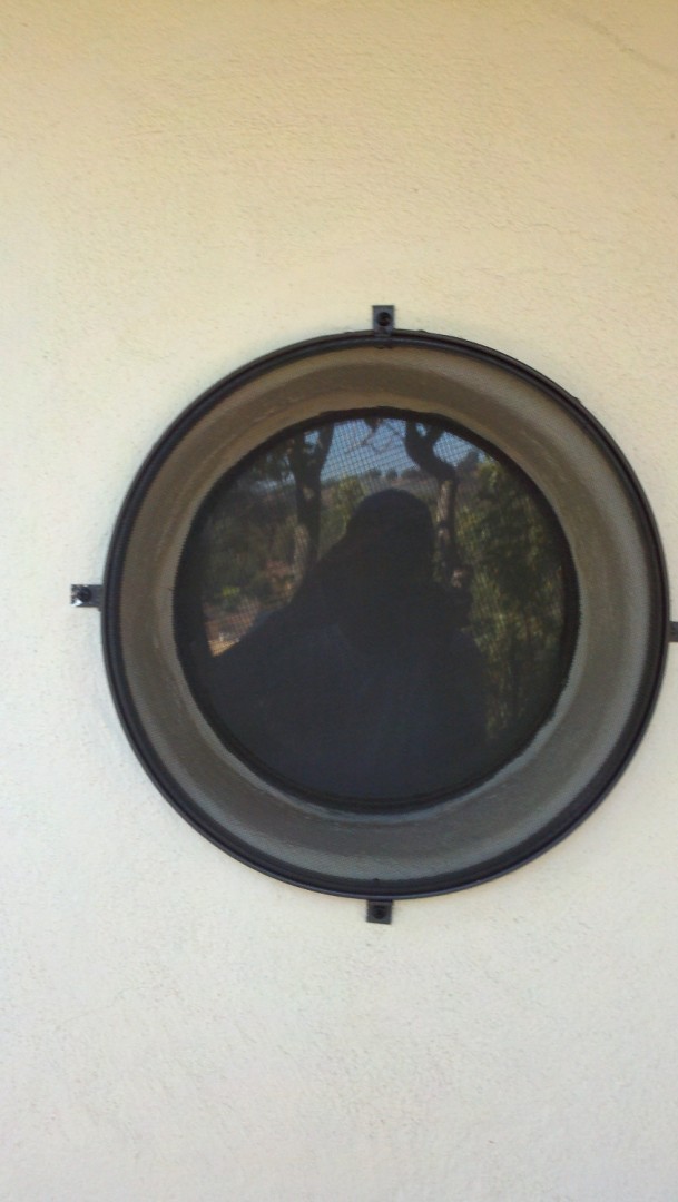 droid_2012_423-88-1920-1080-100